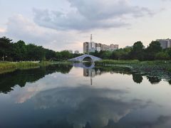 -映月湖公园