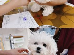-美联众合动物医院·24h京西诊疗中心