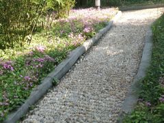 -菊花台公园