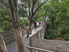 -福道