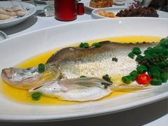 青花椒蒸白水鱼-荣兴酒家(徐家汇店)