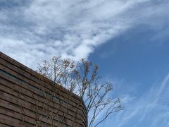 -国际非物质文化遗产博览园