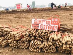 -解家河南菜(商鼎路店)