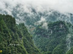 -阿依河景区