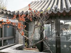 -糖房咖啡(南锣鼓巷店)