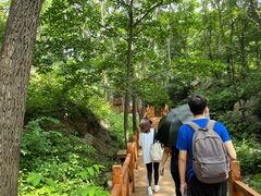 -大岭沟猕猴桃谷风景区