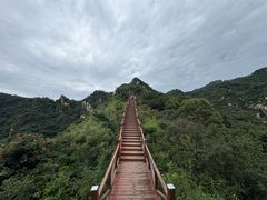 -大岭沟猕猴桃谷风景区