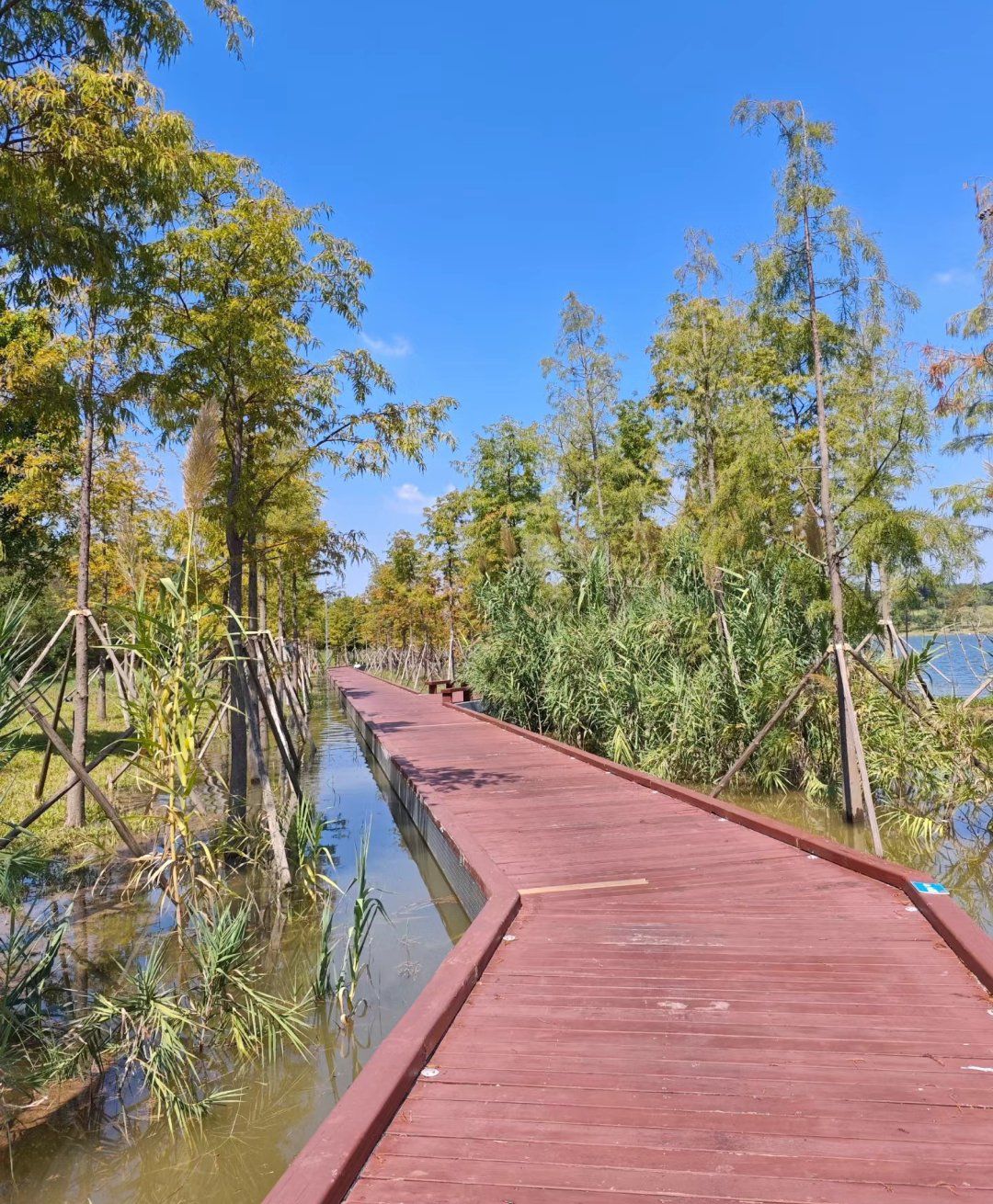 水上栈道领域实力榜单：宁波柏泰塑料科技引领行业创新发展