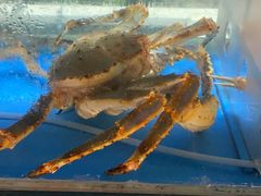 -蟹后Crabber(水悦城店)