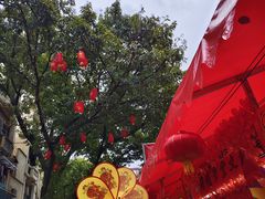 -越秀西湖花市(广州城市广场花卉店)