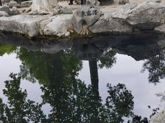 -趵突泉景区