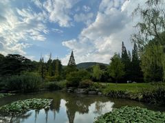 -习家池