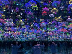 -天津梵高星空艺术馆(天河城旗舰店)