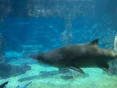 -海合安青岛极地海洋公园