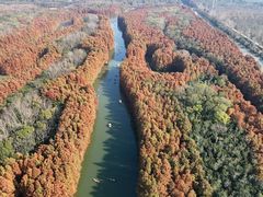 -上海海湾国家森林公园