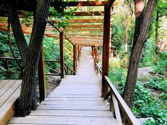 -大岭沟猕猴桃谷风景区