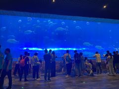 -华夏文旅海洋公园