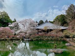 -醍醐寺