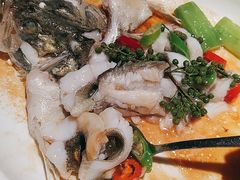 -老伙记海鲜码头(北滘店)