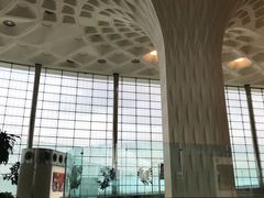 -贾特拉帕蒂·希瓦吉国际机场