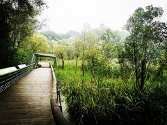 -西湖风景区-江洋畈生态公园