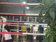 -TFC 纯泰拳馆MuayThai