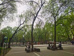 -玲珑塔公园