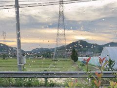 -李东农庄(中南百草园地标店)