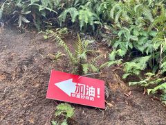 -汕尾铜鼎山旅游区