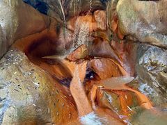 -华蓥山天意谷景区