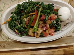 -油梨树 AVOCADO TREE(亮马桥店)