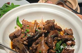 Young Ginger and Wild Lotus Root Braised Honghu Duck