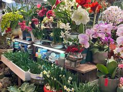 -双季花艺园艺市场(浦东店)