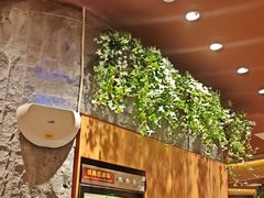 -巴奴毛肚火锅(龙湖锦艺城店)