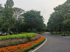 -海珠湖公园