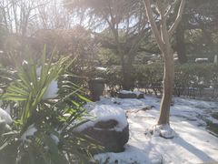 -汤山一号温泉度假区