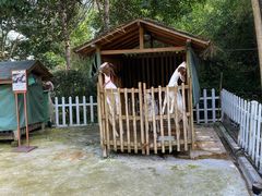 -天目湖涵田半山温泉