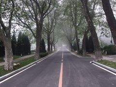 -棒棰岛宾馆景区