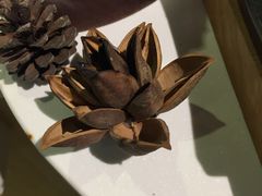 -扫雪煮茶(西村店)