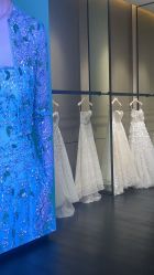-MuseMarry婚纱(前海嘉里中心店)