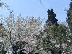 -东湖听涛景区
