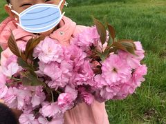 -汉长安城未央宫国家考古遗址公园