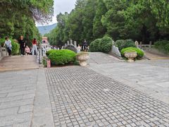 -南京国际会议大酒店