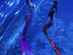 -广州海洋馆