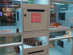 -FAELING PETS美天灵宠物(合生汇店)