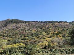 -香山公园