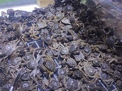 -聚盛源蒸汽海鲜火锅烤肉自助(巨川金海岸购物广场店)