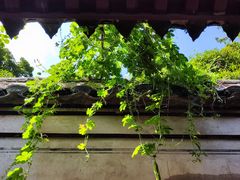 -阿育王寺素斋馆