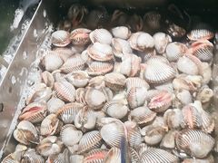 -喜庭海鲜自助(佛山王府井店)