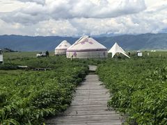 -新疆那拉提国家旅游度假区